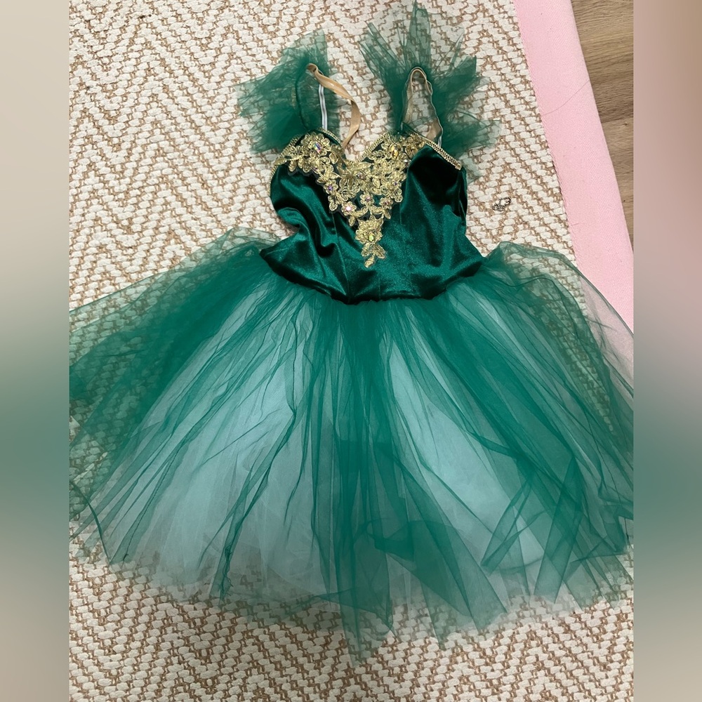 Elegant Green Fairy Costume/Tutu for Kids